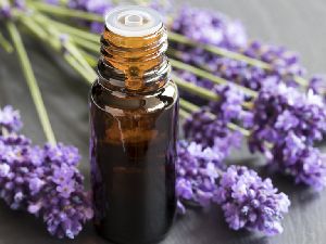 Lavender Essential Oil