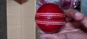 Leather Cricket Balls