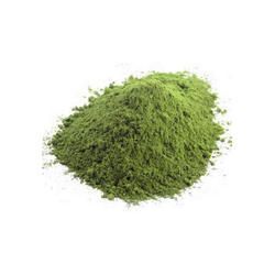 Green Chilli Powder