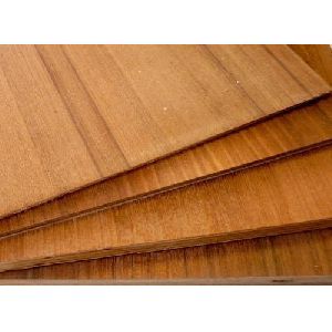 Veneer Plywood