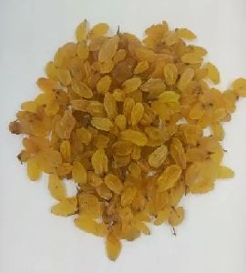 Dried Yellow Raisins