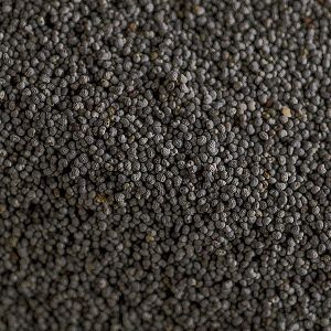 Poppy Seeds