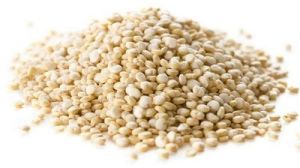 Quinoa Seeds