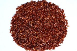 Red rice