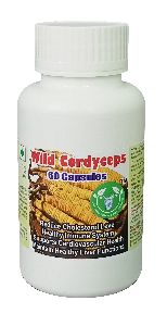 Wild Cordyceps Capsule - 60 Capsules