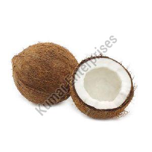 Fresh Brown Coconut