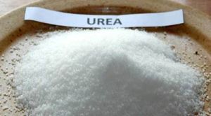 urea chemical