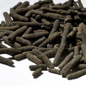 Long Pepper