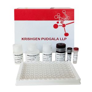 Rubella IgM GENLISA ELISA