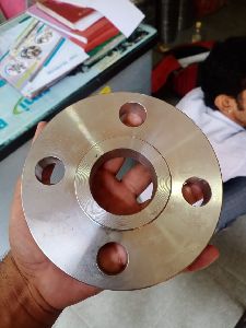 Stainless Steel Flanges