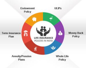 Life Insurance Services