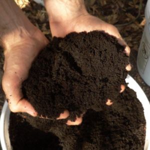 Top Quality vermicompost 100% Pure and Best