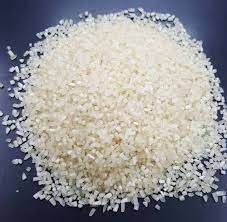 Basmati Broken Rice