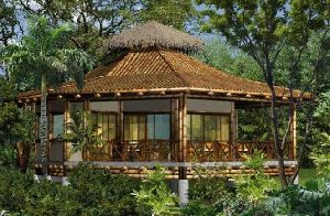 ecofreindly bamboo house