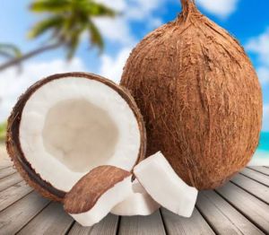 Export Quality coconut