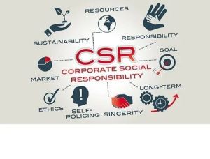 CSR Certification Services