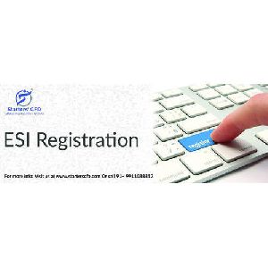 esi registration services