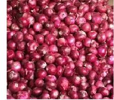 Red Onion