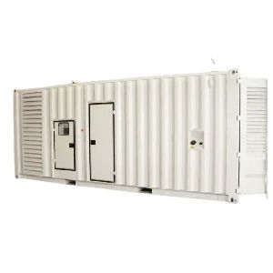 Containerized Generator Set