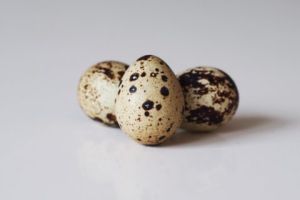 quail eggs