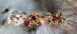 dried exotic flowers