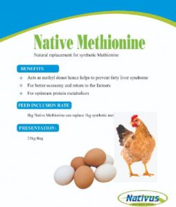 Natural replacement for Synthetic Methionine.