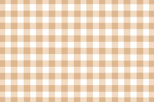 Gingham Fabric