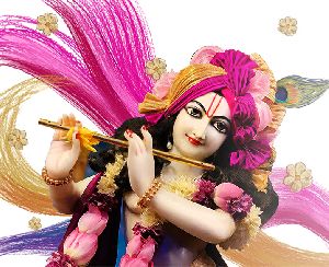 Janmashtami Event Organizing