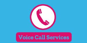 bulk voice calls services