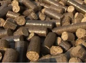 groundnut briquettes