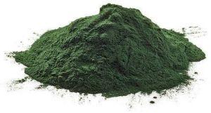 Spirulina Powder