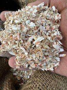 dry shrimp shells