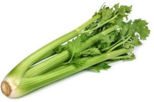 Fresh Celery