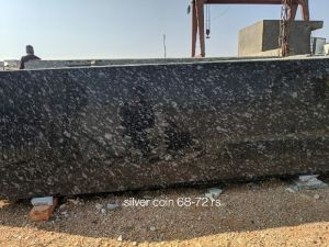 Silver Coin Granite