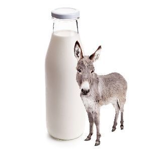 FRESH DONKEY MILK