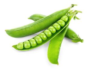 Fresh Green Peas