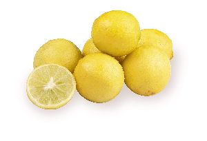 fresh Lemon