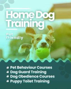 dog training services