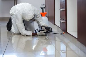 Pest Control Services