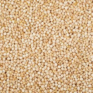 Quinoa Seeds