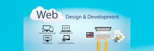 Web Development Services