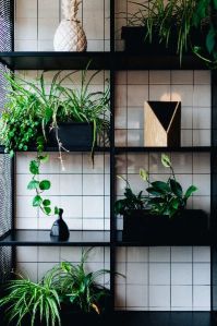 vertical garden