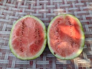 fruits racks