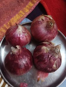 Red Onion