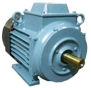 2 HP Three Phase Induction Motor