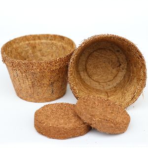 Coir Pots