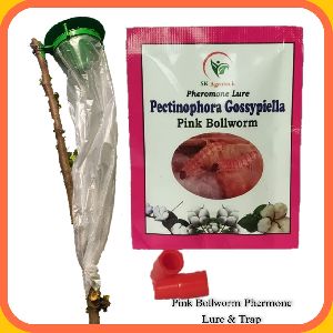 Pink bollworm pheromone trap & lure