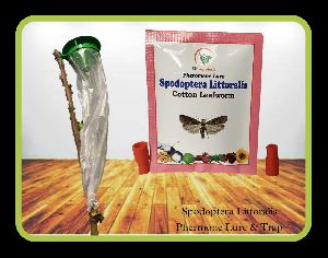 Spodoptera Littoralis - pheromone Lure & Funnel trap