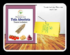 Tuta Absoluta- Tomato leaf Miner pheromone trap & Lure