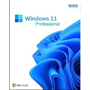 Windows 11 Professional